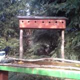 photo 2024-10-17 14-35-35