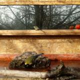 photo 2022-02-06 09-49-26