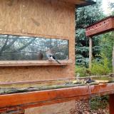 photo 2022-11-05 11-57-26