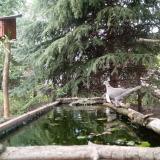 photo 2023-04-21 16-03-33