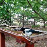 photo 2022-05-29 08-27-18