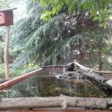 photo 2023-06-27 09-20-43