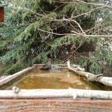 photo 2023-03-20 15-02-39