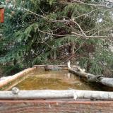 photo 2023-03-20 08-45-46