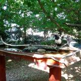 photo 2022-06-05 16-22-32