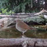 photo 2023-09-03 18-43-06