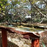 photo 2022-10-17 14-01-43