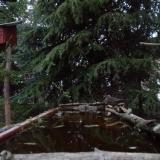 photo 2023-03-30 18-57-27