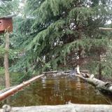 photo 2023-04-01 12-08-55