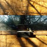 photo 2022-12-13 08-37-13