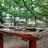 photo 2022-06-05 10-59-21