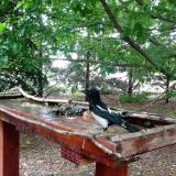 photo 2022-05-30 13-59-35