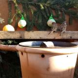 photo 2023-12-28 10-55-44