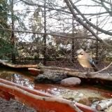 photo 2022-02-18 07-28-15