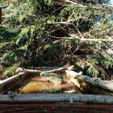 photo 2023-03-13 14-59-53