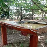 photo 2022-07-18 11-18-21