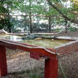 photo 2022-07-21 19-15-44