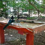 photo 2022-06-27 13-23-57