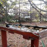 photo 2022-10-22 07-47-56