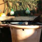 photo 2024-01-11 13-15-04