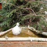 photo 2023-03-20 11-37-18