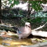 photo 2022-05-12 16-25-34 szajko