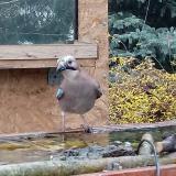 photo 2022-11-26 09-44-51