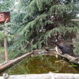 photo 2023-04-10 13-57-57