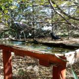 photo 2022-10-17 11-42-10