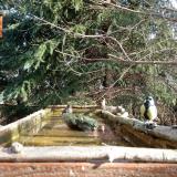 photo 2023-03-13 08-59-02