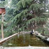 photo 2023-04-05 11-58-26