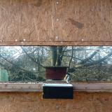 photo 2023-01-01 13-12-10