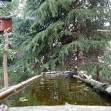 photo 2023-04-05 11-58-31