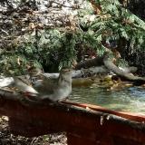 photo 2022-10-17 12-12-24 verebek