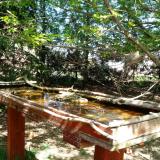 photo 2022-04-14 13-43-36