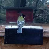 photo 2022-12-11 14-38-33