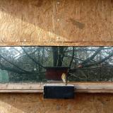 photo 2023-01-12 12-15-13