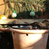 photo 2024-01-11 13-16-34