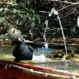 photo 2022-10-17 11-48-32 rigo