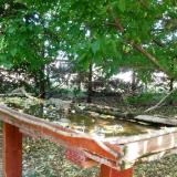 photo 2022-05-11 13-05-03