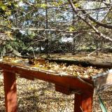 photo 2022-10-20 11-51-59