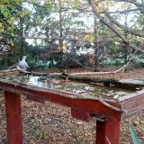 photo 2022-10-17 17-01-38