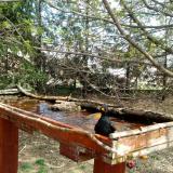 photo 2022-04-06 12-40-43