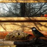 photo 2022-02-13 09-16-27