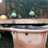 photo 2024-01-08 14-20-33