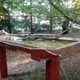 photo 2022-07-21 19-11-20