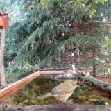 photo 2023-09-25 09-39-27