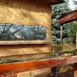 photo 2022-11-20 10-33-11