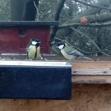 photo 2022-12-11 11-43-23