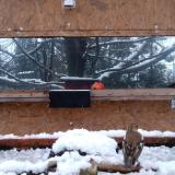 photo 2023-12-07 15-32-00